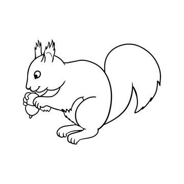Monochrome picture, fluffy squirrel sitting and gnawing a nut, vector cartoon