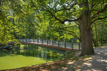 Pedestrian bridge over a pond in the city garden next to a large tree. Summer sunny day in the Ivano-Frankivsk city, Ukraine