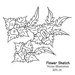 Abstract floral background, Hand-drawn rose flowers