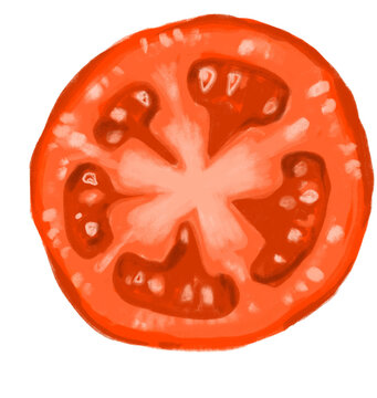 Red juicy fresh tomato cut slice hand painting illustration