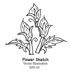 hand-drawn flowers, botanical sketches on white background