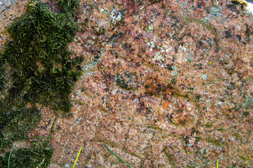 Old stone with moss