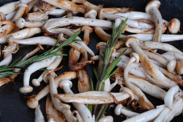 Close-up of delicious shimeji mushrooms and sprigs of rosemary served on gray plate. Excellent image for cooking banners and advertisements.