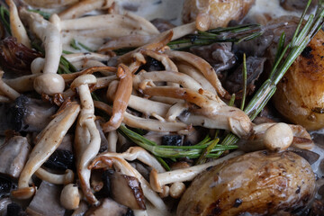 Close-up of delicious shimeji mushrooms, champions, sprigs of rosemary and oven baked potatoes with heavy cream dressing in gray pan. Cooking. Excellent image for cooking banners and advertisements.