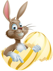 Easter Bunny in Egg