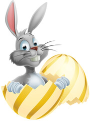 White Easter Bunny in Egg
