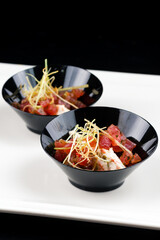 Gourmet appetizers tuna and salmon