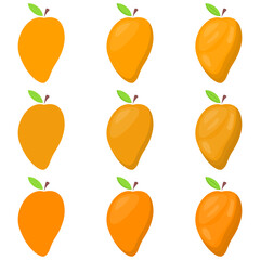 A vector drawn mango illustration with various colors and amount of details