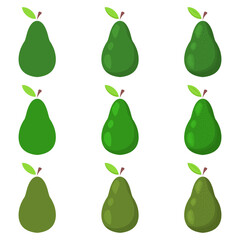 A vector drawn avocado illustration with various colors and amount of details