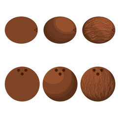 A vector drawn coconut illustration with various styles and amount of details