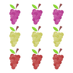 A vector drawn grape illustration with various colors and amount of details