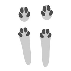 Hare footprints concept. Cute rabbit footprints. Isolated illustration on a white background. Vector illustration.