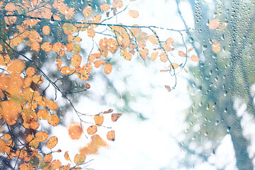 autumn view window raindrops on glass, abstract sad landscape wallpaper