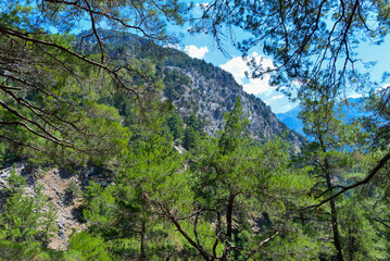 Fototapeta premium Wanderweg durch die Samaria-Schlucht in Kreta/Griechenland