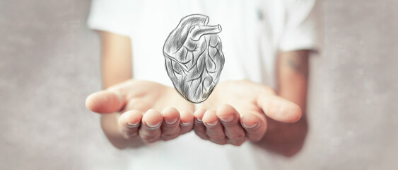 Human heart anatomically correct hand drawn line art and dotwork