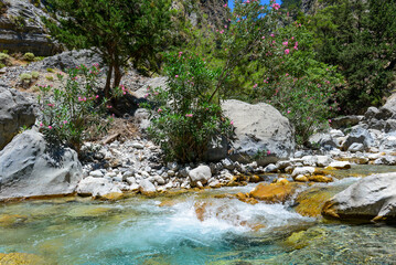 Samaria-Schlucht in Kreta/Griechenland