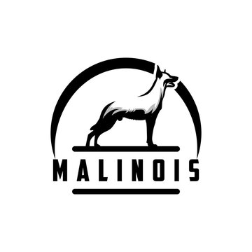 Malinois dog black and white vector logo, ready to print and free small business license.