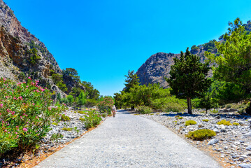 Samaria-Schlucht in Kreta/Griechenland