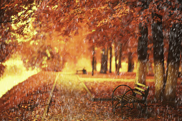 rain background autumn landscape park, abstract seasonal nobody weather october landscape