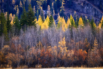 wallpaper autumn landscape mountain altai, freedom romantic trip