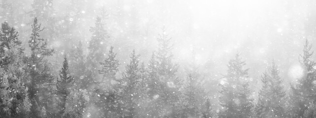 winter background snowfall trees abstract blurred white