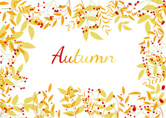 Autumn leaves and red berries. Autumn background. For your design.