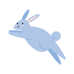 cute rabbit jumping