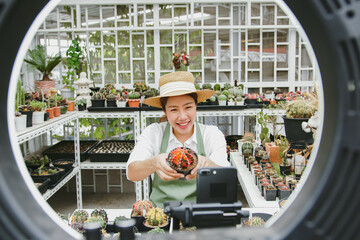 Young Asian woman SME small business entrepreneur live selling cactus in online social media...