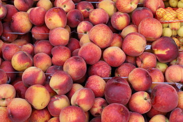Vegetables and fruits are sold at a bazaar in Israel.