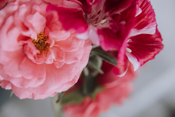 cute bouquet compliment closeup in pink colors, roses and pink flowers