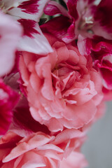 cute bouquet compliment closeup in pink colors, roses and pink flowers