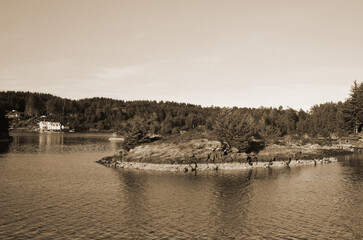 Obraz premium View from the board of Flam - Bergen ferry. Sognefjord, Norway, Scandinavia. Tourism and travel.