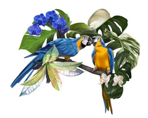 Bird of Paradise. Tropical bouquet. Macaws, monsteras and orchids. realistic illustration.