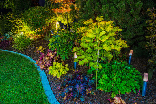 Solar Lights In Landscaped Garden