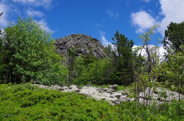 Obraz premium The mount Mezenc in Ardeche in France, Europe