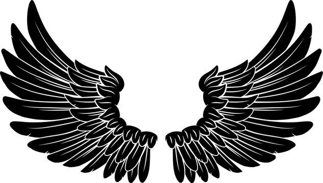 Wings Angel or Eagle Feathers Pair Illustration