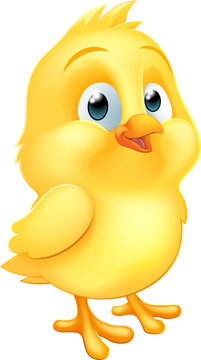Easter Chick Little Baby Chicken Bird Cartoon