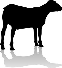 Sheep or Lamb Farm Animal in Silhouette