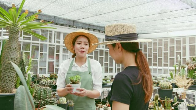 Young Asian woman SME small business entrepreneur present and sell cactus to customer at cactus plant farm