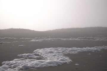 Foam on the misty beach in the morning