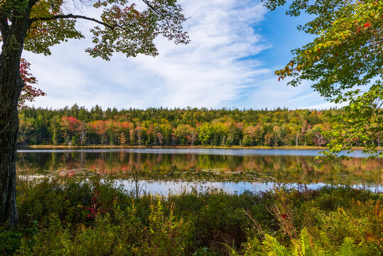 Chasing Fall foliage along the "Little" Long Pond loop trail near Seal Harbor, Maine. This is located just outside of Acadia National Park. 