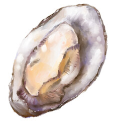 Fresh raw oyster watercolor painting seafood shellfish art illustration