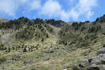 Paysage pyrénéen