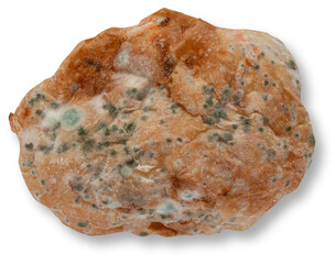 Mould spots growing on bread.