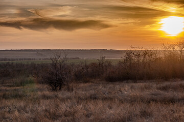 sunset in the steppe
