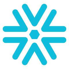 snowflake in the winter, snowing in the snow season, snowfall in cold season