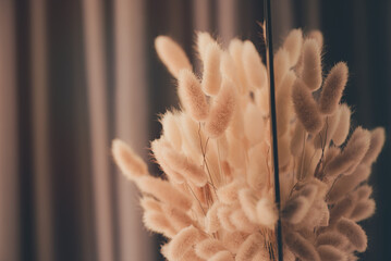 Beautiful creamy brown colour dried grass in flower vase in home, Gray curtain background and natural light behind the curtains.The decoration is simply,giving a comfortable feeling,Selective ​focus.​