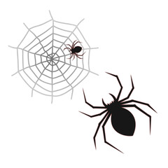 spider web cartoon, concept halloween, wizard, animal, ghost 