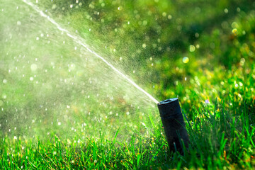Park grass irrigation. automatic Sprinkler irrigation grass in garden on sun rim backlight. ...
