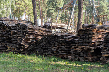 old firewood lies among the trees. Wood recycling